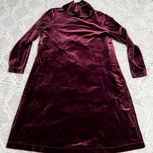 Winter Ready Velvet mock neck dress